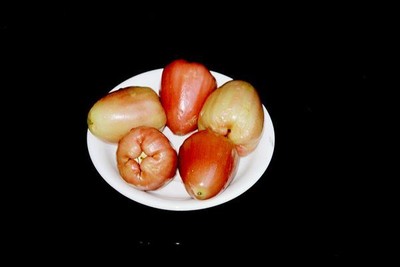 Jambu air (water guave).