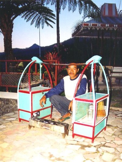 Saté-verkoper in het bergdorp Sarangan. Hij heeft het vuurtje alvast opgestookt want hij weet dat de geur die ervan af komt klanten trekt. Veel vlees zit er nooit op de stokjes, de kunst is zoveel mogelijk smaak mee te geven aan zo weinig mogelijk duur vlees.