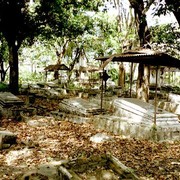 Peneleh is het oudste kerkhof van Surabaya, het dateert uit pakweg 1850. In de jaren dertig van de vorige eeuw schreef Willem Walraven erover: "Het is er gloeiend heet en het is er geheel boomloos. De graven liggen in het gelid want de doodgraver was bepaald een sergeant". Nu groeien er heel wat bomen, het kerkhof is verwaarloosd.