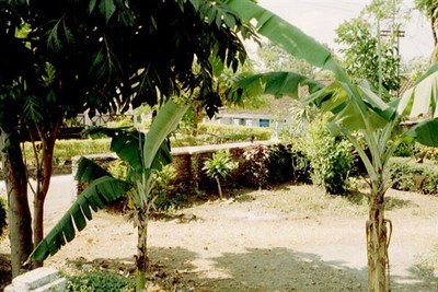 Ik heb besloten dat dit de plek is waar mijn geboortehuis gestaan heeft. Nu kan ik ophouden te zoeken.