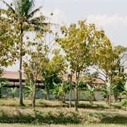 Het kamp is nu een kazerne van de Indonesische Cavalerie. Bezoek is niet toegestaan en ik heb er ook geen behoefte aan.