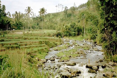 Pujon is nu, dertig jaar later, drukker bebouwd. Maar na enig zoeken vind ik toch deze mooie plek. Is het dezelfde?