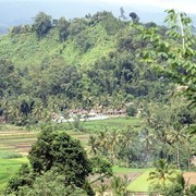Landschappen in de omgeving van Watesbelung en Ngadireso.    