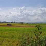 Landschap in de buurt van Kota Gadang, het zilversmeden-dorp. Sawahs met grote cumuluswolken erboven, die het tafereel iets Hollands geven.    