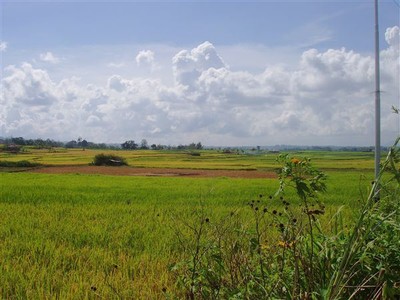 Landschap in de buurt van Kota Gadang, het zilversmeden-dorp. Sawahs met grote cumuluswolken erboven, die het tafereel iets Hollands geven.    