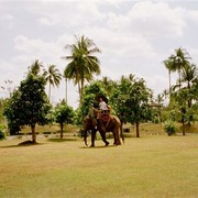 Onderweg naar de uitgang heeft de Borobudur nog een attractie: je kan een rondje maken op de rug van een olifant.    