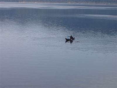 Met een zwaai gaat het geleegde net weer terug in het water