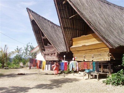 Onderweg naar het havenplaatsje Sibolga waar we zullen oversteken naar Poncan Gadang komen we langs een mooi Batak dorpje, Jangga Dolok. Traditionele huizen met puntdaken, oma draagt haar kleinkind op de rug.    