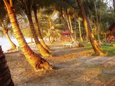 Tegen de avond komen we aan op het eiland Poncan Gadang. De avondzon strijkt langs de kokospalmen.