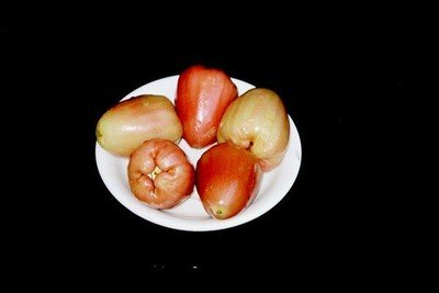 Jambu air (water guave).    
