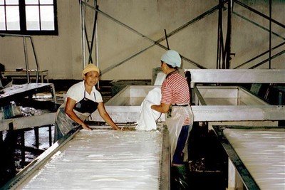 Hier wordt natuurrubber gemaakt uit de latex die afgetapt wordt van rubberbomen. In de herrie van spoel- en persmachines (op één ervan zie ik het jaartal 1926 staan) zwoegt een dozijn mannen en vrouwen.    