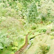 Het hotel heeft een mooi aangelegde halfwilde tuin, met een beekje dat zo luid kabbelt dat je haast zou denken dat er luidsprekers bij geplaatst zijn.