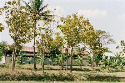 Het kamp is nu een kazerne van de Indonesische Cavalerie. Bezoek is niet toegestaan en ik heb er ook geen behoefte aan.    