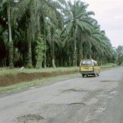 Naarmate we dichter bij Bukit Lawang komen wordt het wegdek slechter.    