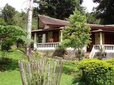 Bukit Lawang Cottages telt zo'n dertig stenen huisjes met veranda.