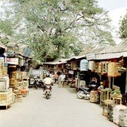 De vogeltjesmarkt van Malang, op loopafstand van de alun-alun. Aangrenzend ligt (een trapje af) de pasar Bunga, de bloemenmarkt.    