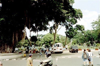 De alun-alun van Malang. Drukker dan vroeger, maar er is nog plaats voor waringins.    