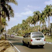 De Idjen Boulevard (thans Jalan Raya Ijen) in Malang is misschien wel de mooiste boulevard van Java. Twee banen met in het midden een brede strook bloemen en struiken.