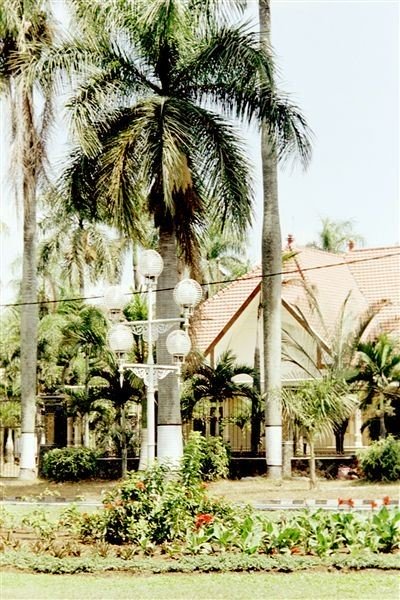 Nogmaals de Ijen boulevard. Een prachtige straatlantaarn.    