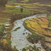 Het plaatsje Pujon ligt enkele kilometers van Batu. De weg slingert zich langs en over een riviertje en dat water in combinatie met sawahlandschappen maken dit tot een prachtige plek. In 1974 maakte ik hier de foto voor het omslag van Vanonder de Koperen Ploert.