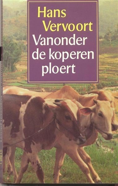 Voor een latere (1988) heruitgave van het boek werd deze foto gebruikt, ook gemaakt in Pujon. Dit is een uitsnede, de complete foto volgt hieronder.    