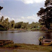 Aangrenzend aan het natuurbad is een meertje, of eigenlijk een brede traagstromende modderbruine rivier. Hier kon je bootje varen tussen de kangkung-plantages aan de zijkanten, Kangkung (soort spinazie) wordt hier nog steeds gekweekt en bootje varen kan ook nog.