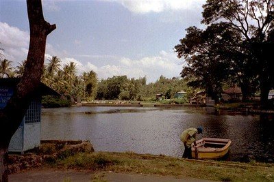 Aangrenzend aan het natuurbad is een meertje, of eigenlijk een brede traagstromende modderbruine rivier. Hier kon je bootje varen tussen de kangkung-plantages aan de zijkanten, Kangkung (soort spinazie) wordt hier nog steeds gekweekt en bootje varen kan ook nog.