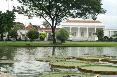 Het presidentieel paleis, waarvan de vijver aansluit op de Plantentuin De bladeren van de reuzenwaterlelies lijken ronde groene dienbladen. (foto's Theo Bakkenes)    