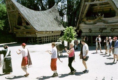 Erg moeilijk ziet het Batak-dansen er niet uit, maar als aan het slot een paar toeristen uit de groep worden geplukt om mee te dansen (ik weiger dit met overgave), zien we in hun halfhartige imitaties het verschil    