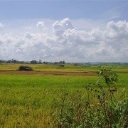 Landschap in de buurt van Kota Gadang, het zilversmeden-dorp. Sawahs met grote cumuluswolken erboven, die het tafereel iets Hollands geven.