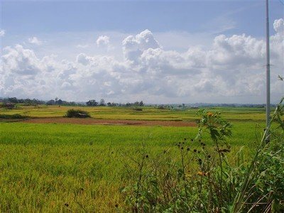 Landschap in de buurt van Kota Gadang, het zilversmeden-dorp. Sawahs met grote cumuluswolken erboven, die het tafereel iets Hollands geven.
