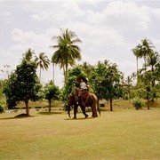 Onderweg naar de uitgang heeft de Borobudur nog een attractie: je kan een rondje maken op de rug van een olifant.