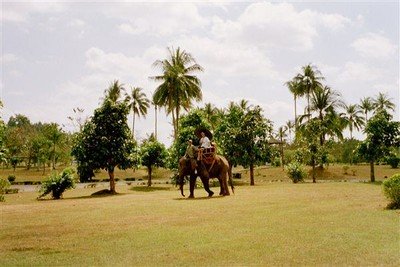 Onderweg naar de uitgang heeft de Borobudur nog een attractie: je kan een rondje maken op de rug van een olifant.    