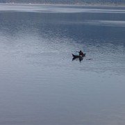 Met een zwaai gaat het geleegde net weer terug in het water    